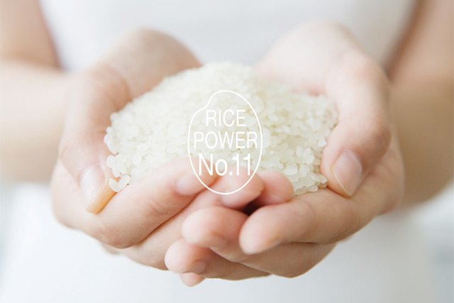 米肌の有効成分ライスパワー
